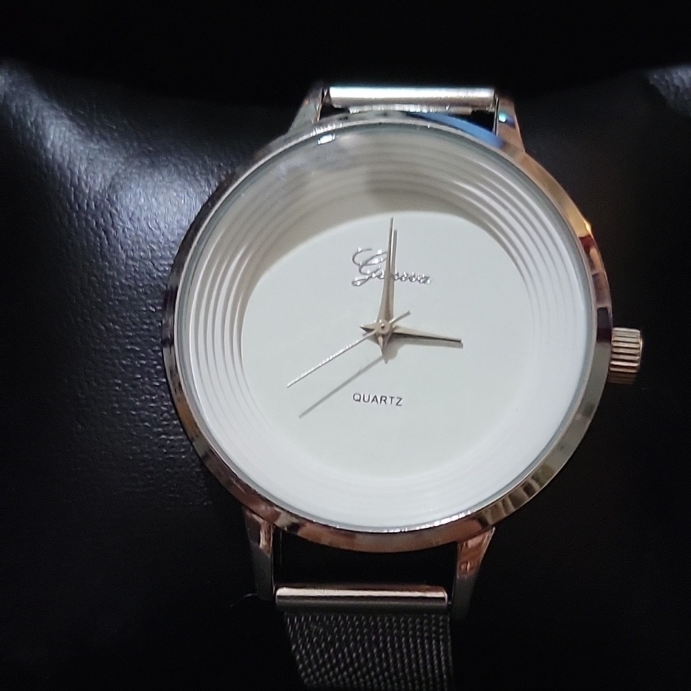 Geneva Silver Quartz Watch